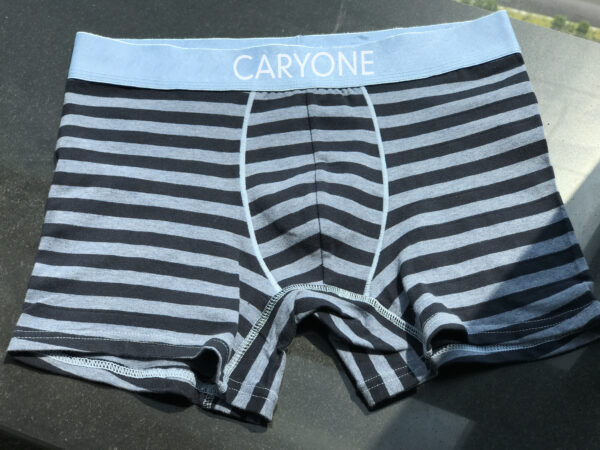 Men's Boxers WRH-MBX024
