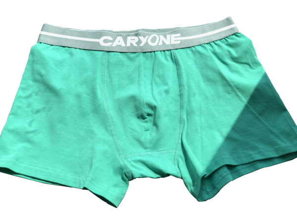 Men’s Boxers WRH-MBX025