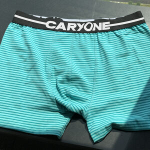Men's Undergarment_WRH-MBX030