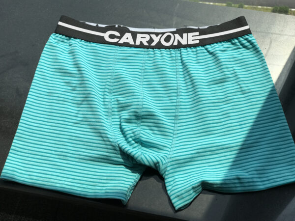 Men's Undergarment_WRH-MBX030
