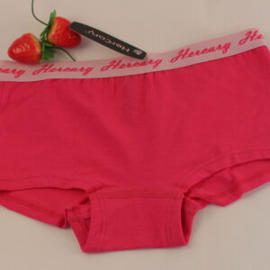Ladies Underwear-WBX265
