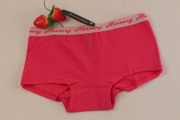 Ladies Underwear-WBX265