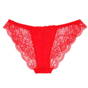 Women's Lacy Underwear__RB-WBX012