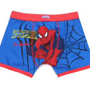 Boy's Character Design All Over Printing Boxers__BBX205