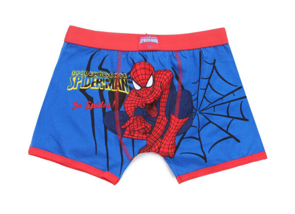 Boy's Character Design All Over Printing Boxers__BBX205